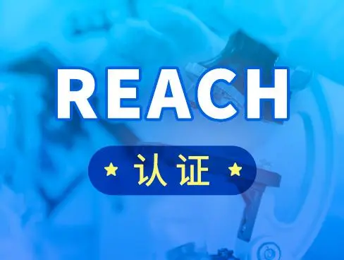 REACH是什么意思？